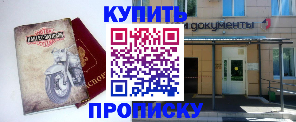 временная прописка в Щёлково
